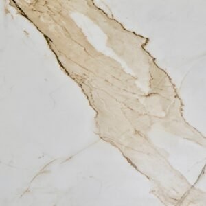 Real Statuario (2X4 - Glossy)