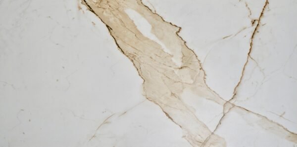Real Statuario (2X4 - Glossy)